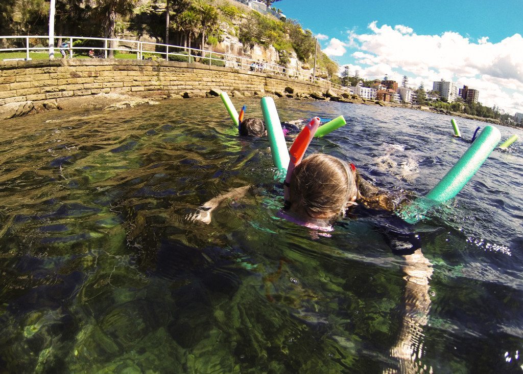 Manly snorkel tour ECOTREASURES Sydney