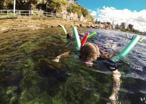 Snorkeling, Sydney tours