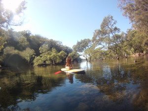 EcoTreasures Stand up paddle safari