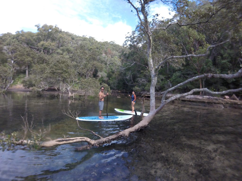 Basin SUP Safari