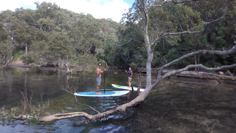 Basin SUP Safari