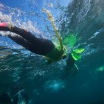 Manly Snorkeling Tour: Explore Cabbage Tree Bay ‘s Vibrant Marine Life Manly Snorkeling Tour: Explore Cabbage Tree Bay ‘s Vibrant Marine Life