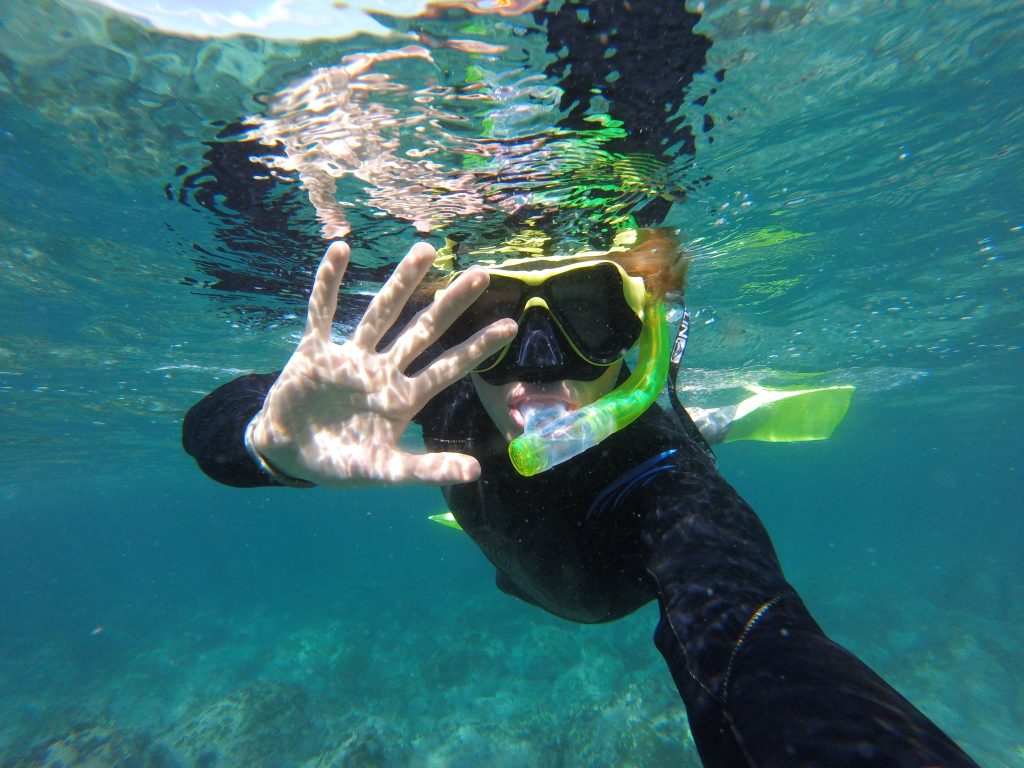 Manly snorkel tour shelly beach