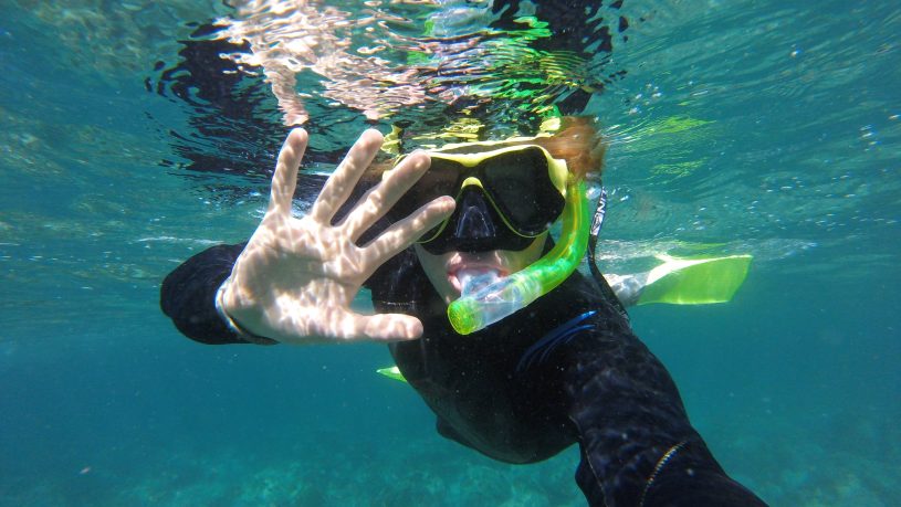 Manly snorkel tour shelly beach