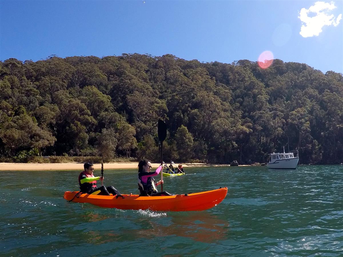 EcoTreasures Northern Beaches Sydney kayaking tours ECOTREASURES Sydney