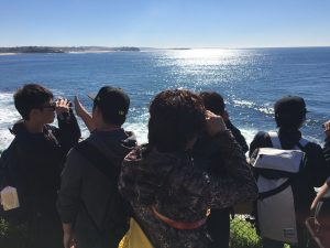 ECOTREASURES Manly coastal walking tour STUDY TOURS