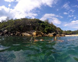 Sydney snorkel tour ecotreasures