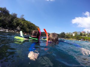 Manly snorkel adventure ecotreasures