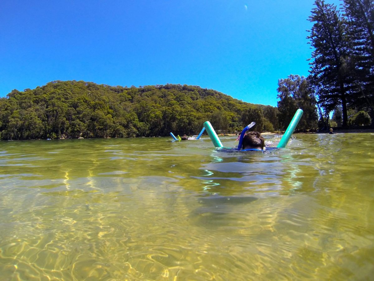 Sydney snorkeling for sea horses tour ECOTREASURES Sydney