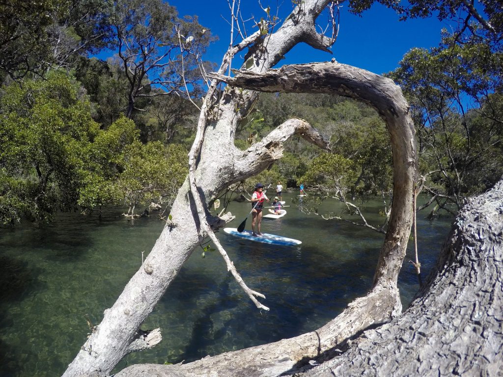 Stand up paddle boarding sydney