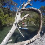 Stand up paddle boarding sydney