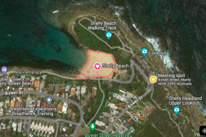 Ecotreasures shelly Beach meeting spot map