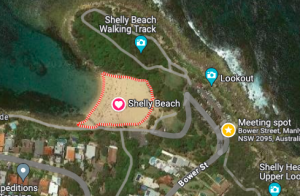 Ecotreasures manly snokrkel tour meeting spit