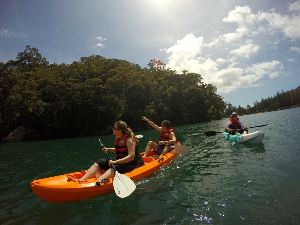 Basin Kayak Safari ECOTREASURES Sydney