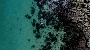 Manly snorkel tour