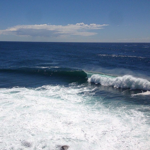 Manly north head walking tour