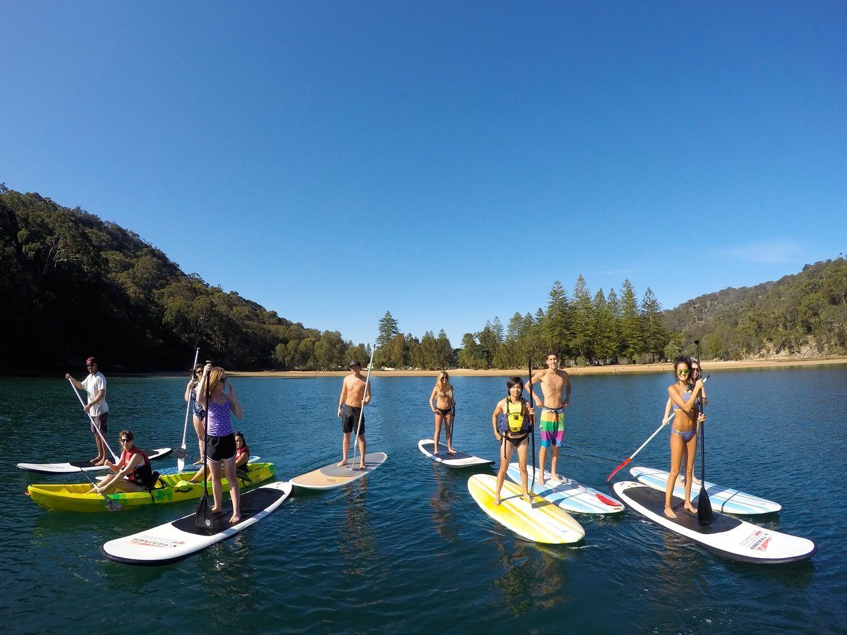 Sydney to Ku-ring-gai Wildlife Adventure Tour