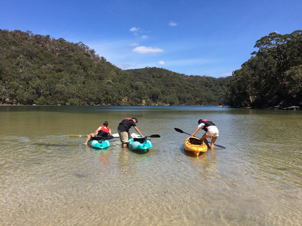 Sydney to Ku-ring-gai Wildlife Adventure Tour