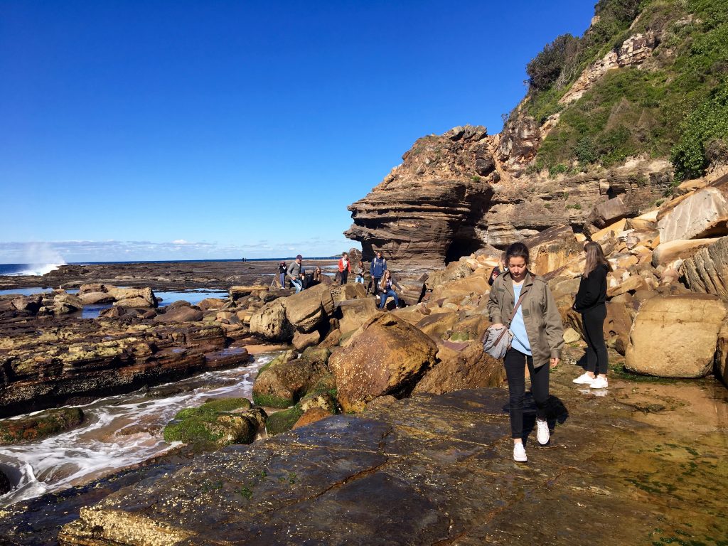 Sydney to Ku-ring-gai Wildlife Adventure Tour
