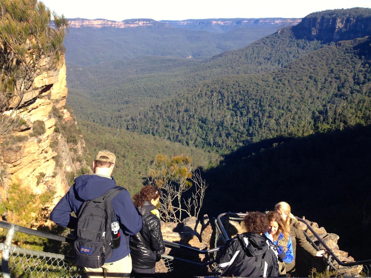 Private Blue Mountains Eco Tour