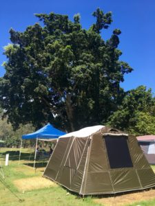 Basin campground campsite set up ecotreasures