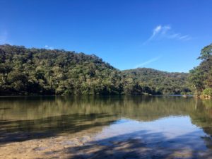 Paddle board and kayak hire basin pittwater