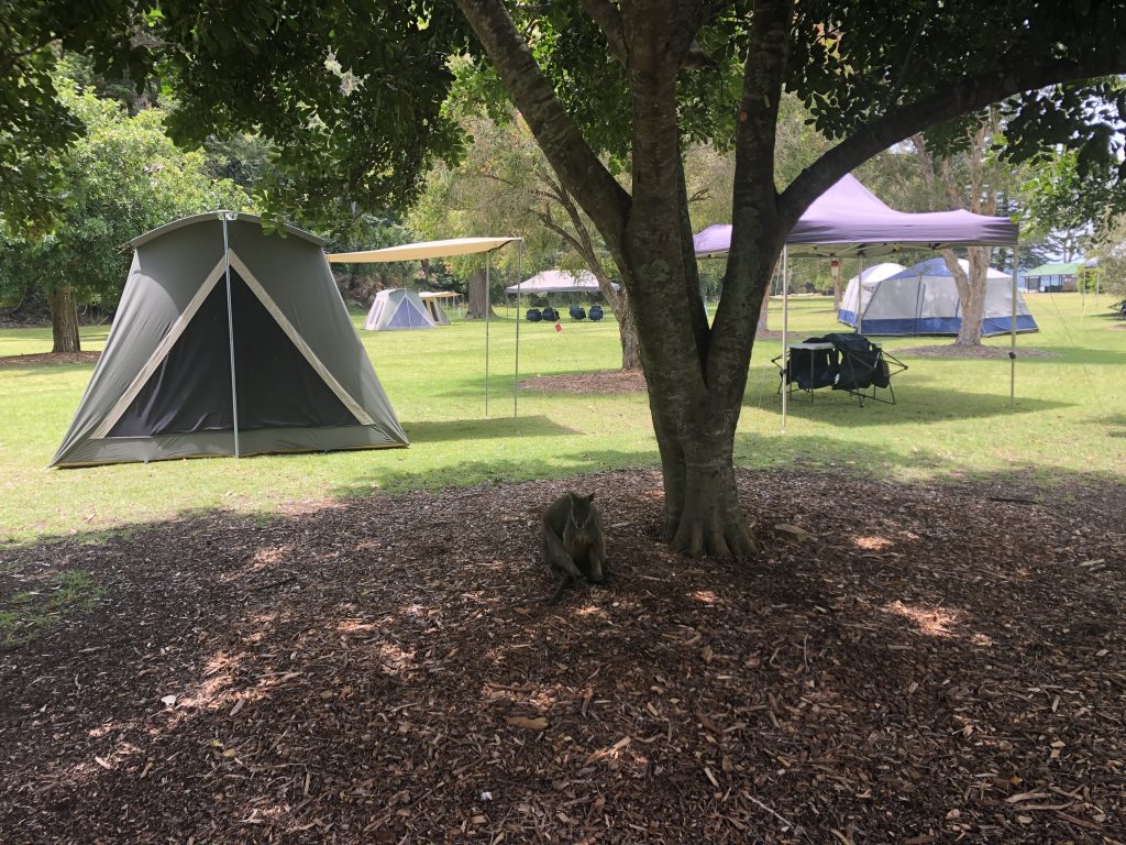 basin campground campsite set up service