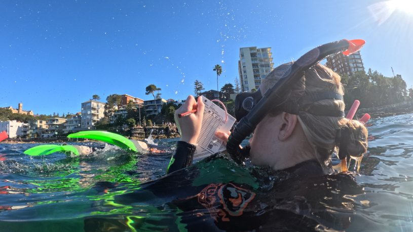 Explore Coastal Environments: Syllabus-Aligned Field Studies for Students