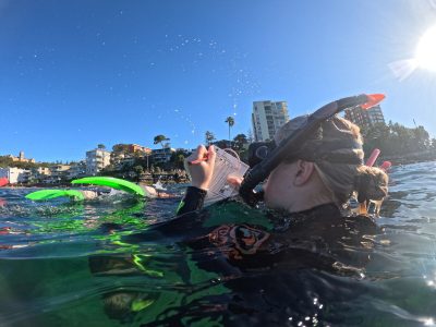 Sydney field studies