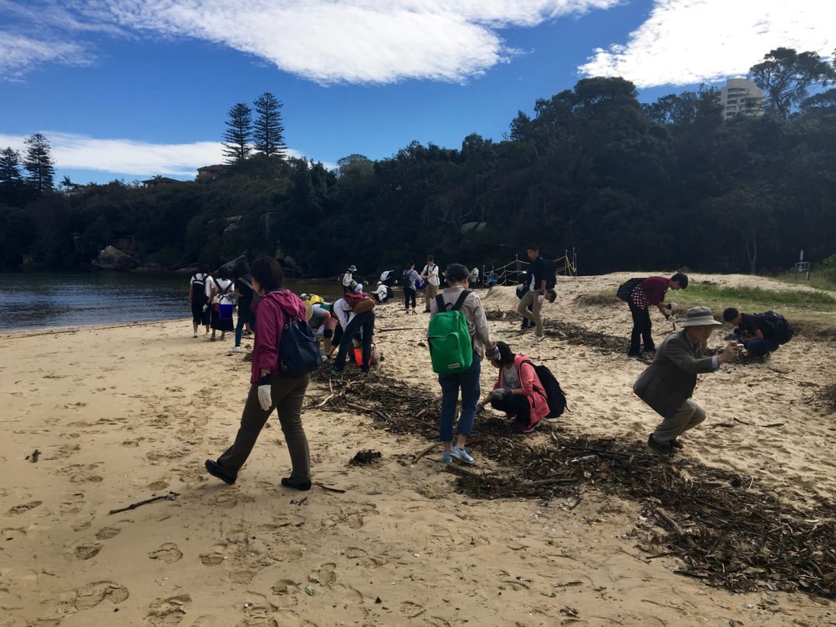 EcoTreasures manly coastal walk.j 24