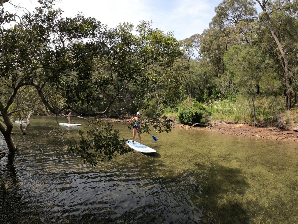 SUP Lessons sydneys northern beaches