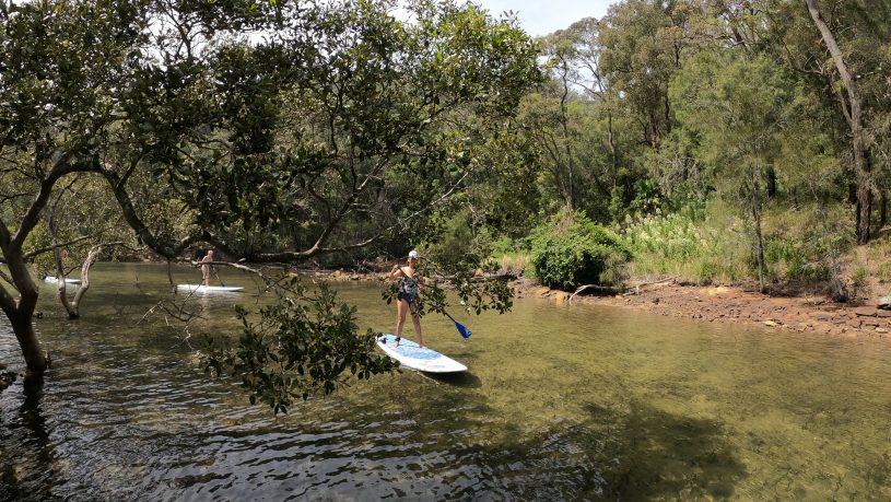 SUP Lessons sydneys northern beaches