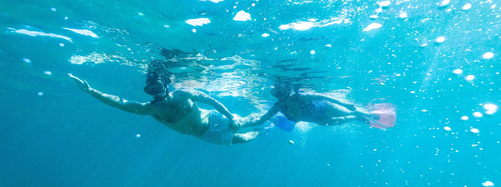 Snorkelling Shelly Beach, Manly eco tour