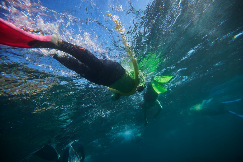 Private sydney snorkeling tour in manly 