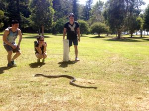 Wildlife of Sydney private tours