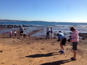 Wildlife of Sydney ecotreasures