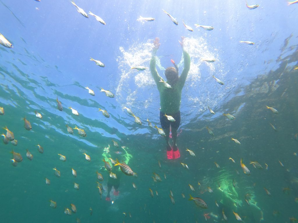 Private Manly Snorkel Tour