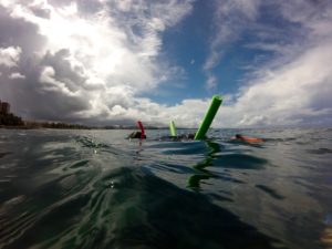 Private Manly Snorkel Tour