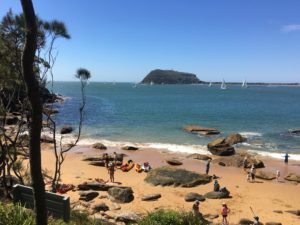 Kayaking pittwater ecotreasures