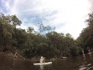 Paddle boarding Sydney