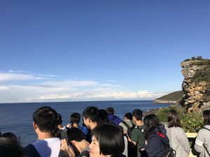 Manly coastal walking tour study tours ecotreasures