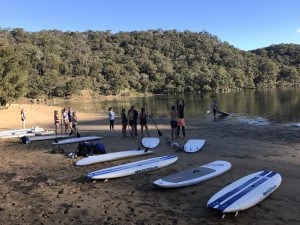 paddle boarding sydney with ecotreasures