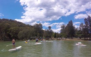 Paddle board and kayak at the Basin