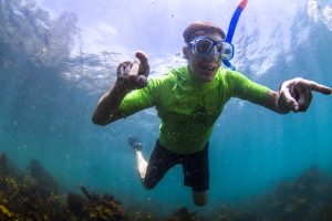 Tony Hawk snorkel tour with ecotreasures