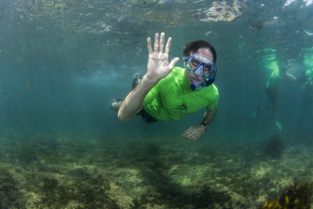 snorkel in beautiful manly