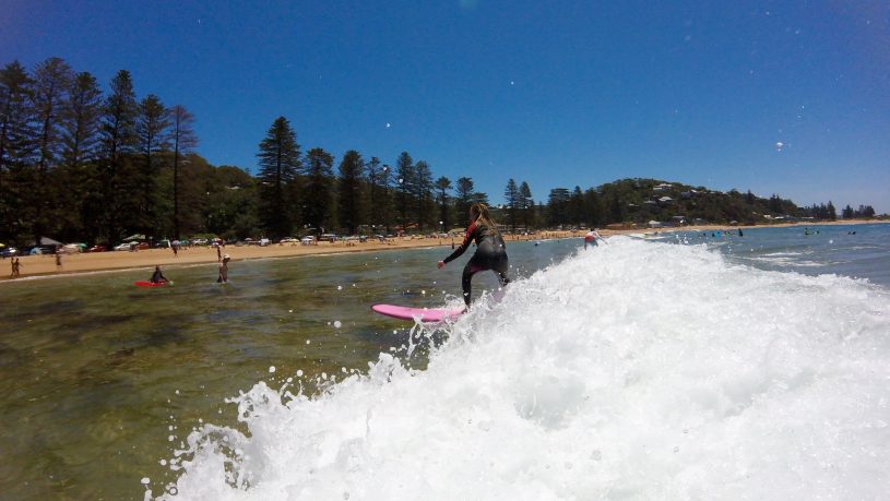 Palm beach day tour surfing private touring