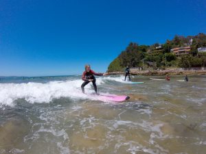 Palm beach day tour surfing private touring