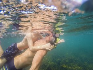 Joel Parkinson private snorkel tour with ecotreasures