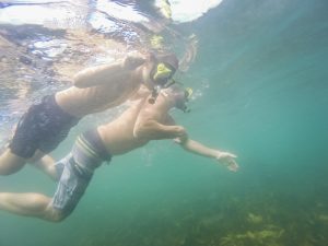 Joel Parkinson private snorkel tour with ecotreasures