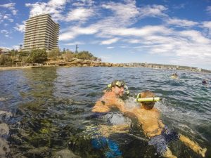 Joel Parkinson private snorkel tour with ecotreasures